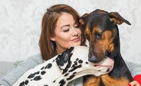 National dog day was first established in 2004 by pet and family lifestyle advocate colleen paige. National Dog Adoption Day 2021 What Is It And How Can You Take Part