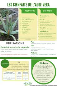 Les Vertus De L Aloe Vera Aloes Aloe Vera Remedes Naturels