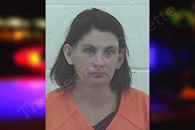 Anna Wiltse — Worth County Jail Bookings