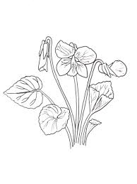 Great Monarch Activities For Kids Wild Ones Violet Flower Tattoos Flower Line Drawings Flower Coloring Pages