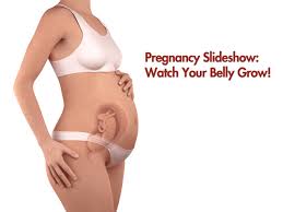 Some pregnant bellies may look like basketballs, others like watermelons, and others may not show at all. Pregnancy Slideshow Mom Baby For Parents Nemours Kidshealth
