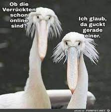 Irgendwann blieb piggeldy stehen und sah zum himmel. Piggeldy Und Frederick Spruche Piggeldy Und Frederick Spruche Die Schonsten Geschichten Von Piggeldy Und Frederick Von Piggeldy Und Frederick In Den 70ern Bei Sandmannchen Missy Combest Zu Beginn Jeder Folge