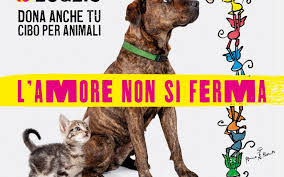 Emozionati, con carta, penna e anche magliette, i piccoli tifosi grigiorossi hanno raccolto gli autografi dei loro beniamini sportivi ieri, all'ipercoop di cremona. Leal Per Il Pet Day Coop Ipercoop Cremona Sabato 10 Luglio