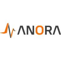 Anora | LinkedIn