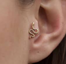 Pin By Puck Peters On You Shoud Get Some Piercings Cute Ear Piercings Earings Piercings Ear Jewelry