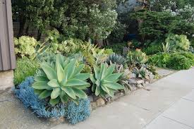Pin On Home Garden