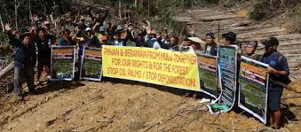 Is the topmost malaysia conveyor line,liquid process machine,packaging machine,food processing,storage / mixing tank and industrial plants meta machinery sdn. Unesco World Heritage Tell The Palm Oil Barons To Back Off Rainforest Rescue