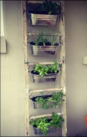12 Magnifiques Idees Pour Faire Pousser Des Fines Herbes A La Maison Jardin D Herbes Idees Jardin Jardin D Appartement