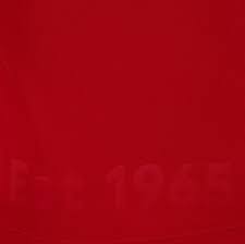 Fc twente, que regresa a la eridivisie tras un año en segunda, presentó su nuevo uniforme local con una marca propia llamada kicks21, que reemplaza a sondico como su sponsor técnico. Fc Twente 2020 21 Meyba Home Away Shirts 20 21 Kits Football Shirt Blog