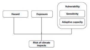 If yes, state how : Https Www Wwf De Fileadmin Fm Wwf Publikationen Pdf Wwf Fishforward Studie 2020 Eng Annex Report Pdf