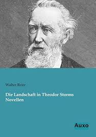 Die Landschaft in Theodor Storms Novellen von Walter Reitz