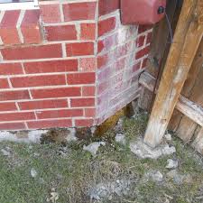 It was suggested in the 90's to add a brick to the toilet is leaking water onto the floor when it's flushed. Pin On Home Inspection Finds