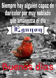 Pin De Elvi En Saludos Saludos De Buenos Dias Frases De Buenos Dias Buenos Dias