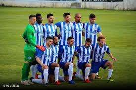 In the team fc vizela 38 players. Vizela Exige Reintegracao Na Segunda Liga Zerozero Pt
