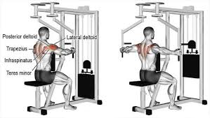 Reverse Pec Deck Fly Mesotropin 3 Sets 12 Reps Shoulder Workout Best Shoulder Workout Workout Programs