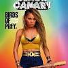 The character herself is based heavily off of the black canary. 1