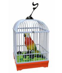 Gather home canvas wall art print, bird home decor. Singing Parrot Bird Home Decor Buy Singing Parrot Bird Home Decor Online At Low Price Snapdeal