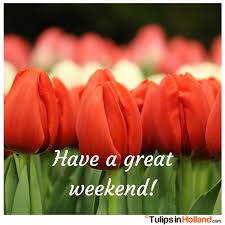 Image result for have a wonderful weekend