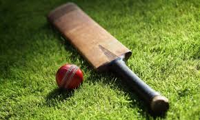 Résultat de recherche d'images pour "cricket"