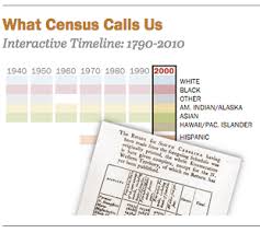Race And Multiracial Americans In The U S Census Pew