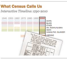 race and multiracial americans in the u s census pew