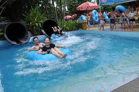 Tphcm dừng hoạt động công viên nước đầm sen 7 ngày vì chống dịch hời hợt. Dam Sen Water Park Water Park Dam Water