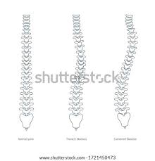 Only the backbone and cβ atom is shown for clarity. Shutterstock Puzzlepix