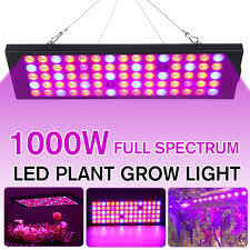 Before we jump into the best led grow lights buying guide, we try to understand that what led to grow usually, these lights are a bad choice for flowering plants due to the low lumen. Buy 1000w Led Growing Lamps Weed Full Spectrum Plant Grow Light For Greenhouse Hydroponic Plant Flowers Growing Seedling Cultivation At Affordable Prices Free Shipping Real Reviews With Photos Joom