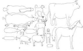 Airplane anatomy animal architecture car. Pin On Autocad Dwg Files