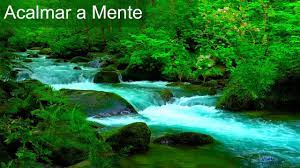 Vídeo hd com cachoeira em câmera lenta, floresta e lago, com sons da natureza e música. Inquietacao Constante Musica Relaxante Para Acalmar As Angustias E Tranquilizar O Espirito Youtube