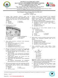Check spelling or type a new query. Soal Olimpiade Biologi Materi Genetika Molekuler Dan Pembahasannya Jawabanku Id