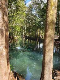 The Devils Eye Ginnie Springs Fl Camping Near Me Best Camping Gear Camping Locations