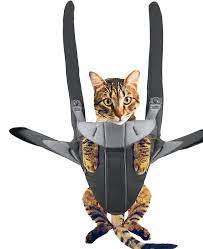Cat In A Baby Carrier Ipad Case Skin By Del0860 Redbubble