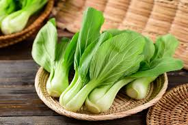 Image result for Brassica rapa
