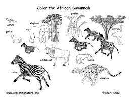 Free printable tattoo coloring pages for adults. Savanna Coloring Pages Coloring Home