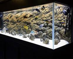 The next step is to make the rocks. Fish Tank And Aquarium Backgrounds Universal Rocks