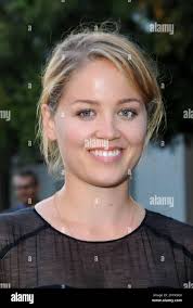 Erika hi-res stock photography and images