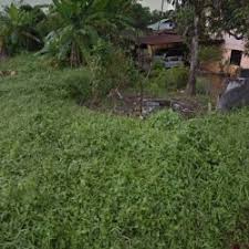 Situs jual beli tanah murah dan sewa tanah di jakarta, bogor, bekasi, depok, tangerang, bali, bandung, surabaya, jogja, semarang, dan indonesia keterangan: Tanah Jual Tanah Tanah Untuk Dijual Beli Tanah Tanah Untuk Dibeli Sewa Tanah Tanah Untuk Disewa