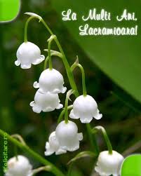 La Multi Ani Lacramioara Happy Birthday Plants Birthday