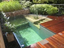 Naturpool Hutte Wasserpflanzen Baumen Schwimmbad Designs Natur Pool Naturschwimmbecken