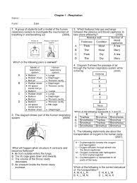 Oxyhaemoglobin is transported in the blood to heart and then pump to all parts of the body. Science Form 3 Chapter 1 3 Respiratory System Blood