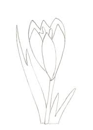 Pin By Wendy Alletson Bannockburn On Tavasz Shadow Painting Spring Art Colored Pencil Techniques