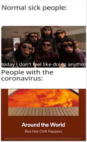 Updated daily, for more funny memes check our homepage. Sorry For The Low Quality Meme Redhotchilipeppers
