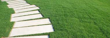 2 prepare the area head down to your nearest bunnings and grab some top soil and wetting agent. Sunnyside Instant Lawn How To Prepare Soil And Roll Out Lawn