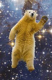 The Polar Bear Who Dances Through The Infinite Void Of Space Bear Gif Polar Bear Bear