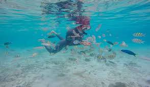 Menikmati alam yang begitu indah bisa kamu lakukan di pulau lancang. Penasaran Dengan Wisata Pulau Lancang Ini Dia Informasi Selengkapnya