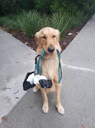 There are 42 connections to: 1 Is The Loneliest Number Album On Imgur