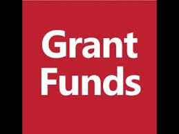 Up To 10 000 Available In Free Eidl Grant Funds Youtube