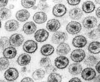 In 2018, a 14% rise in new infections was reported, with 40,000 in the second quarter alone. Hiv Wikipedia