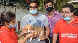 Often, we choose dogs in need of socialization and training which we place with. Jamshedpur Red Paws Foundation Holds Pet Adoption Camp Telegraph India